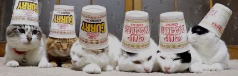 Rudyjuste's tweet photo. @mewdleonsol told u this is the new meta 😼
$mewdle https://t.co/7fqg18J8T3