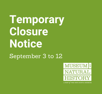 The Museum of Natural History will be temporarily closed from September 3 to 12 to make way for exhibit updates. 

We apologize for any inconvenience this may cause and look forward to welcoming you back. Stay tuned for more information!
