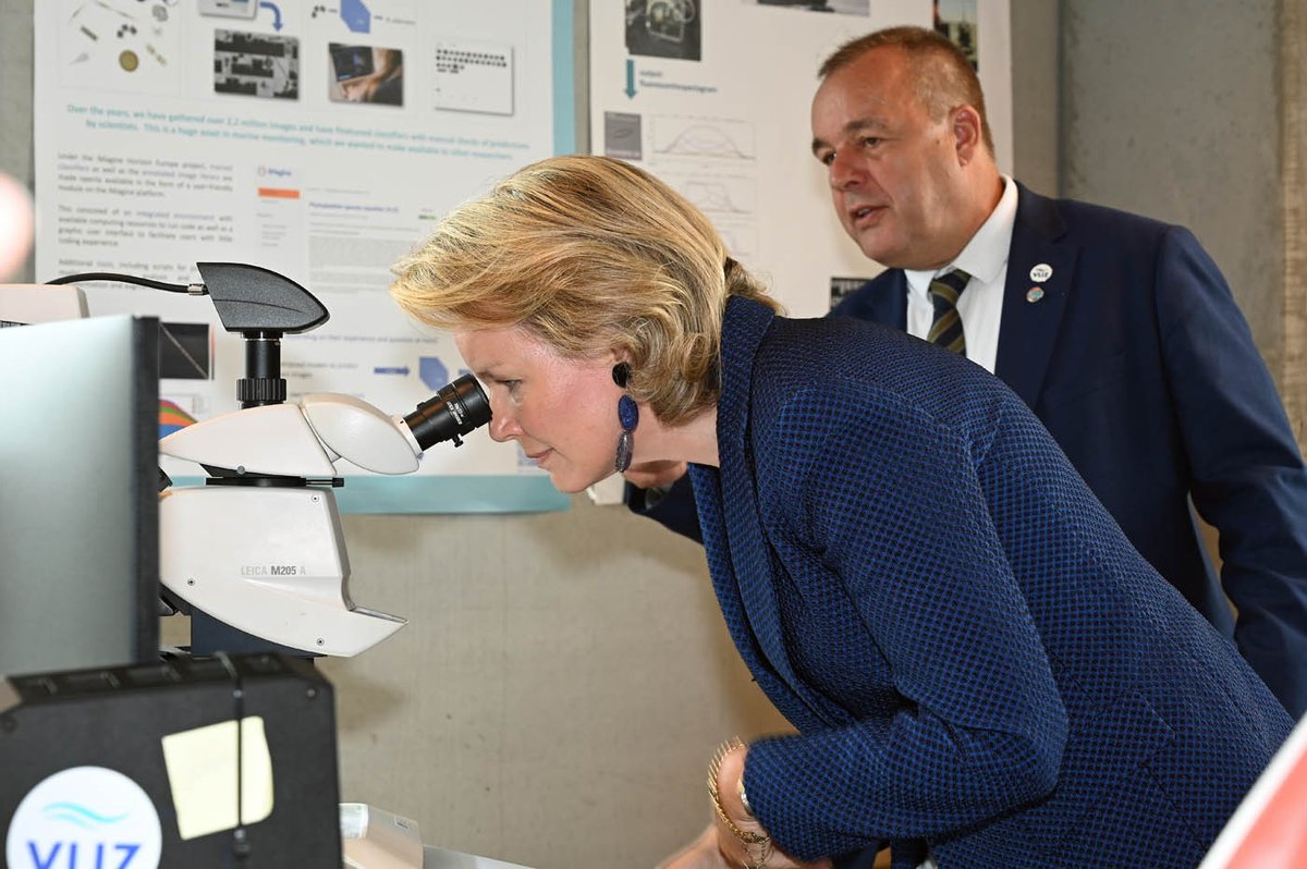 Flanders Marine Institute - VLIZ tweet media