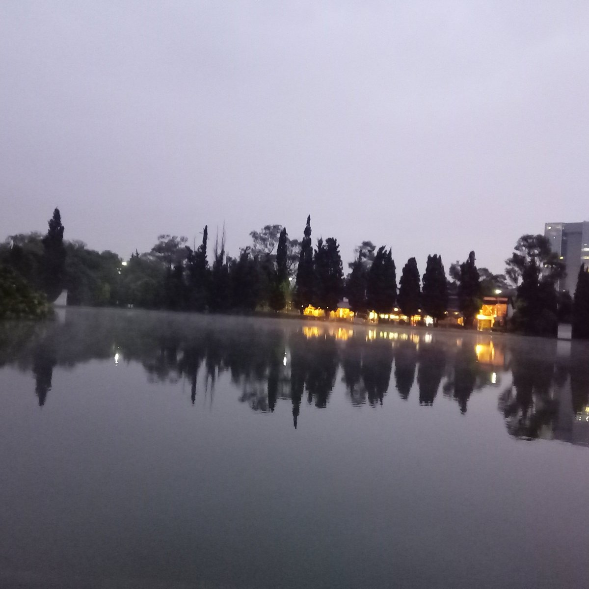 Blanch_Stela's tweet image. Venga!, Venga! Así las porra de hoy. @KMSxELA gracias @ReyLoborebelion por mi premio del reto #GrandPrix #happi