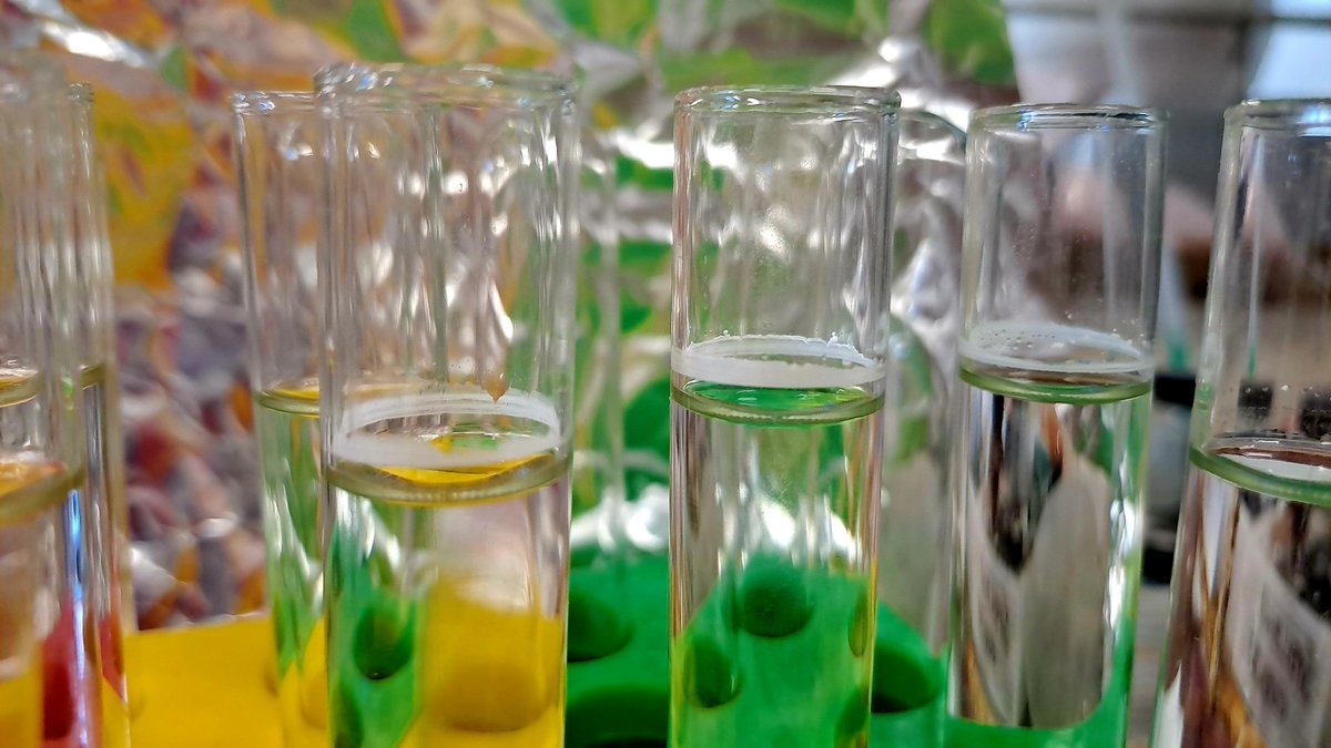 CarinaCrucho's tweet photo. Happy #TestTubeTuesday! 🌟 After some evaporation, the solid compound is making a surprise appearance. 👩🏻🔬 #chemistry #LabLife #tuesday #womeninscience #WomenInSTEM https://t.co/BlQEr51WJO