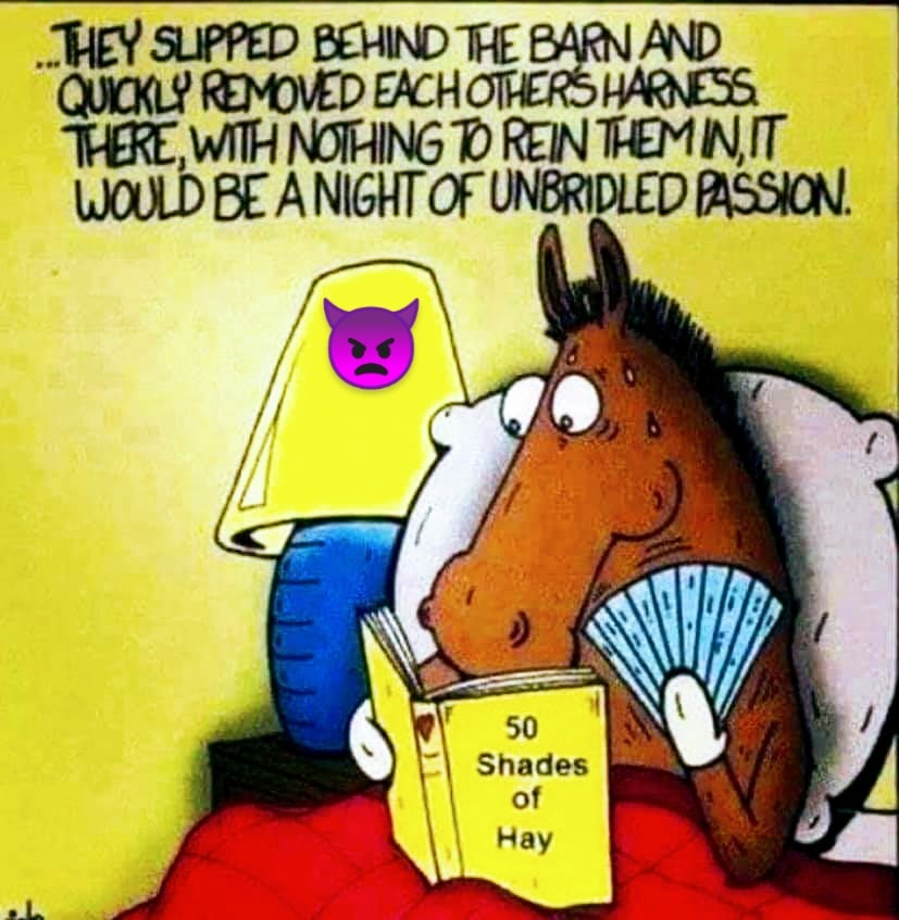 50 Shades of Hay...A Night of Unbridled Passion