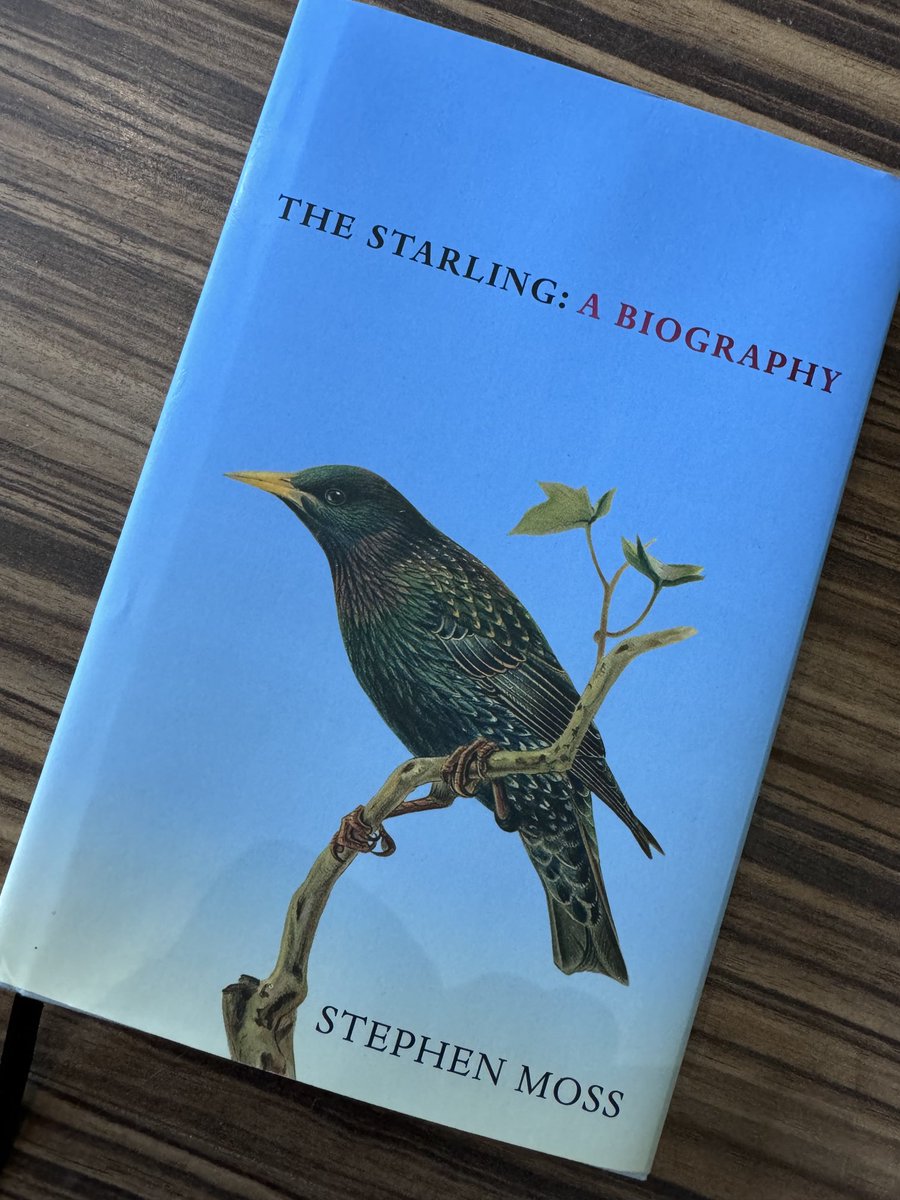 Stephen Moss (@stephenmoss_tv) on Twitter photo This little bird just flew in - the Starling is on sale in all good indie bookshops on October 3rd! β¦<a href="/bronzebygold/">Marianne π€ protect black lives</a>β© β¦<a href="/E_M_Books/">Emily Martin</a>β© β¦<a href="/BrooDoherty/">Broo Doherty</a>β© β¦<a href="/DHHlitagency/">DHH Literary Agency</a>β© β¦<a href="/SquarePegBooks/">Square Peg Books</a>β© β¦<a href="/susiemerry_/">Susie Merry</a>β© Thanks to everyone who made it look so lovely! This little bird just flew in - the Starling is on sale in all good indie bookshops on October 3rd! β¦<a href="/bronzebygold/">Marianne π€ protect black lives</a>β© β¦<a href="/E_M_Books/">Emily Martin</a>β© β¦<a href="/BrooDoherty/">Broo Doherty</a>β© β¦<a href="/DHHlitagency/">DHH Literary Agency</a>β© β¦<a href="/SquarePegBooks/">Square Peg Books</a>β© β¦<a href="/susiemerry_/">Susie Merry</a>β© Thanks to everyone who made it look so lovely!
