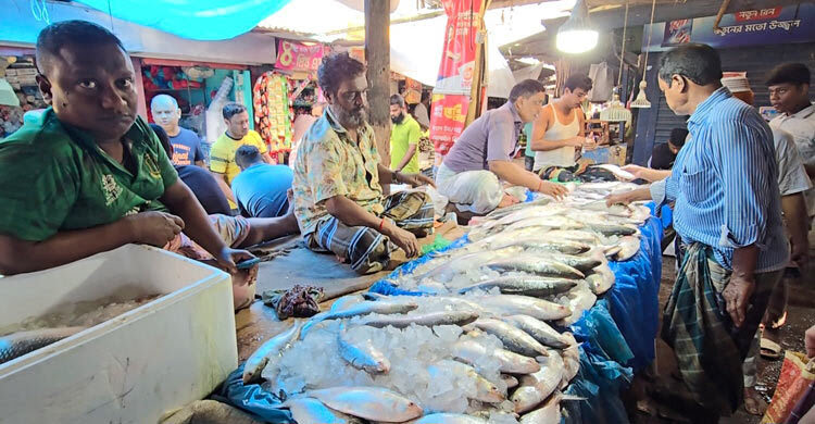ফরিদপুরে সিন্ডিকেটে বাড়ছে ইলিশের বাজার দর