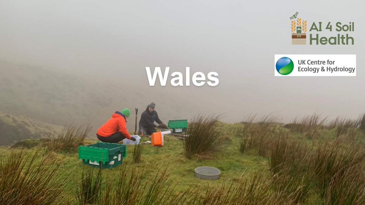 AI 4 Soil Health (@ai4soilhealth) on Twitter photo 🌍 This week, we spotlight the Welsh #AI4SoilHealth pilot site: ai4soilhealth.eu/wales/
<a href="/UK_CEH/">UK Centre for Ecology & Hydrology</a>, who coordinate the research, share their insights👇🧵 🌍 This week, we spotlight the Welsh #AI4SoilHealth pilot site: ai4soilhealth.eu/wales/
<a href="/UK_CEH/">UK Centre for Ecology & Hydrology</a>, who coordinate the research, share their insights👇🧵