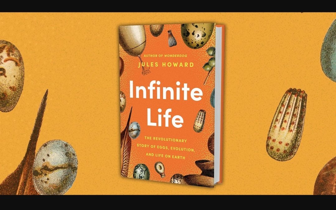 LeMoustier's tweet photo. 📚 Today is US pub day for #InfiniteLife by @juleslhoward!
A startlingly beautiful, satisfyingly nerdy & unashamedly affectionate exploration of evolution's crucibles of creation
(see my @Nature review ⬇️) https://t.co/s5c8CSds0O