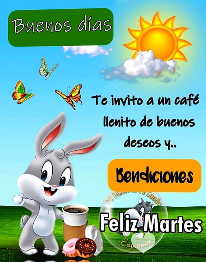 Bonito dia