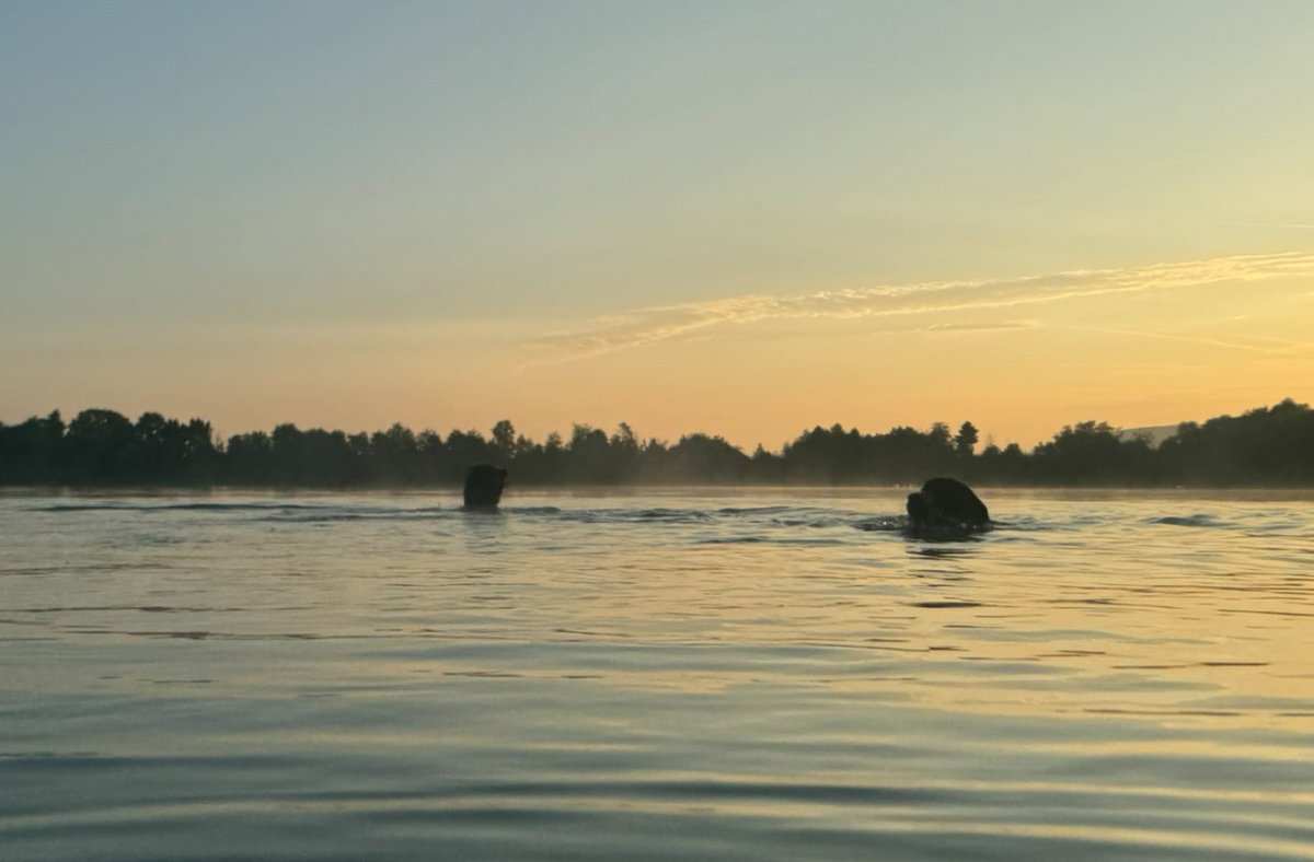 7Uhr am See mit Frauchi  #twitterrudel