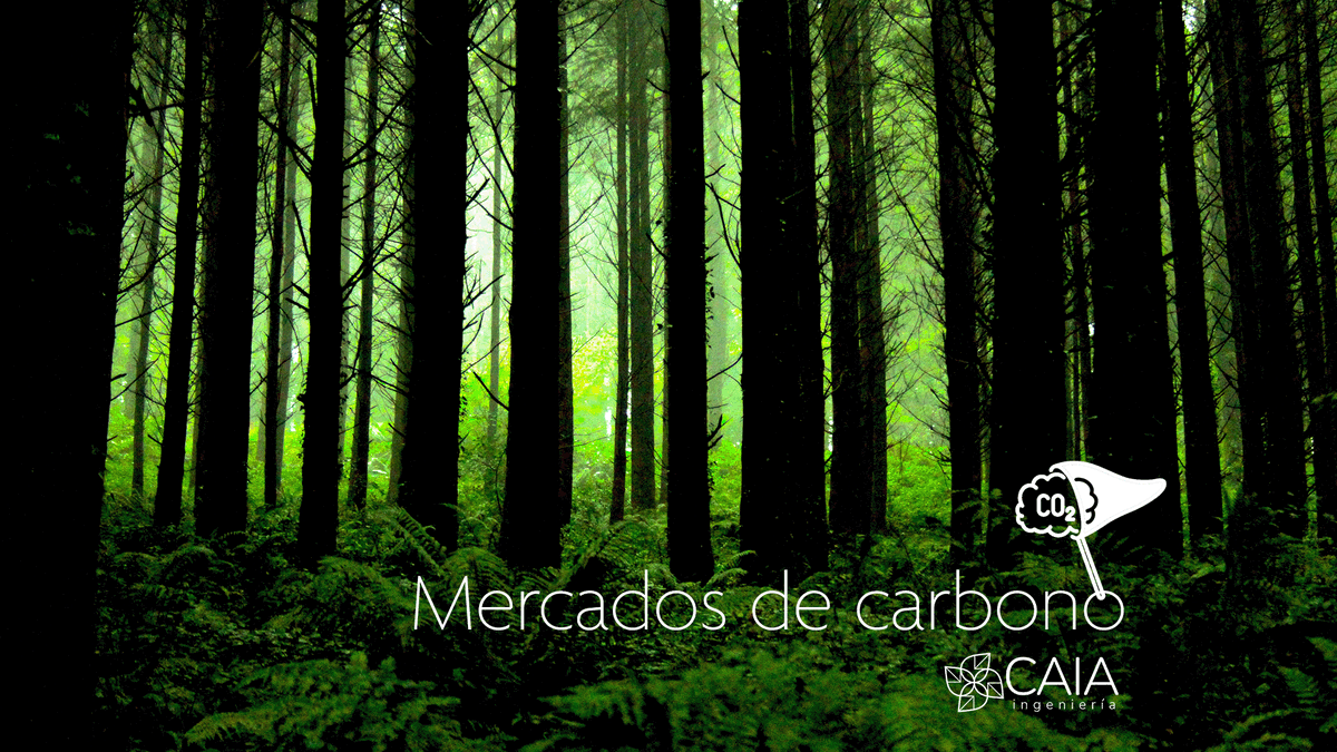 CAIAing's tweet photo. 🌍 Los #MercadosDeCarbono permiten comprar y vender créditos que representan una tonelada de CO2 evitada o eliminada. 💡 Incentivan a las empresas a reducir sus emisiones y a invertir en tecnologías limpias.  #CambioClimático https://t.co/cIkLUNFc8G