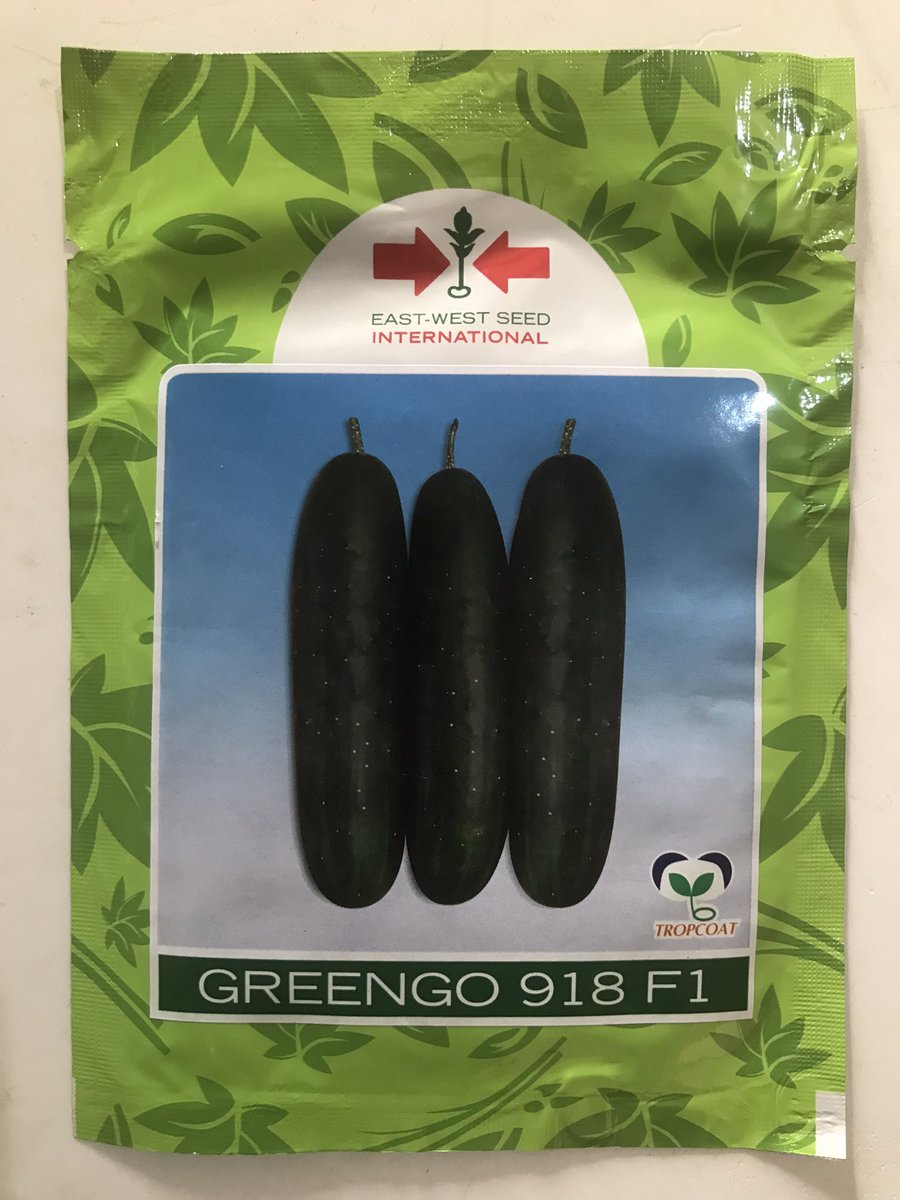 Naijaagrodealer's tweet photo. Discover our top-quality seeds for vibrant blooms from EAST WEST. Begin your planting adventure now. Scroll through slide and reach out to us the seed you want .
#everythingpropagule #SeedsForSuccess #growyourbusiness #GreenThumbLife #PlantingJourney #SustainableGardening https://t.co/M9I5q1KzMM