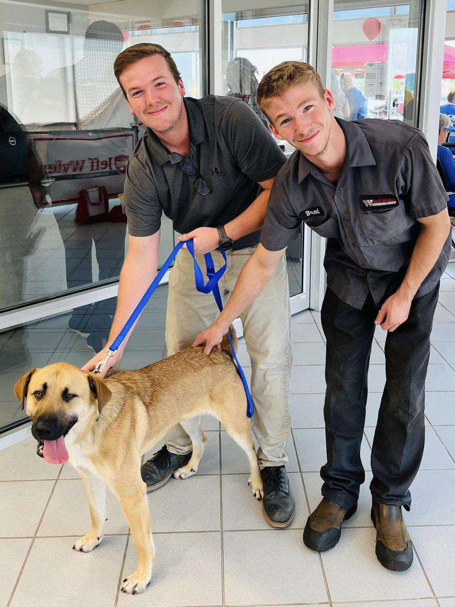 We're thrilled to share that our Pet Adoption Event on Friday, in partnership w/ the <a href="/SPCACincinnati/">SPCA Cincinnati</a>, resulted in 5 wonderful pet adoptions! Thank you to everyone who came out to support. Remember, there are still many loving animals at the SPCA looking for their forever homes.