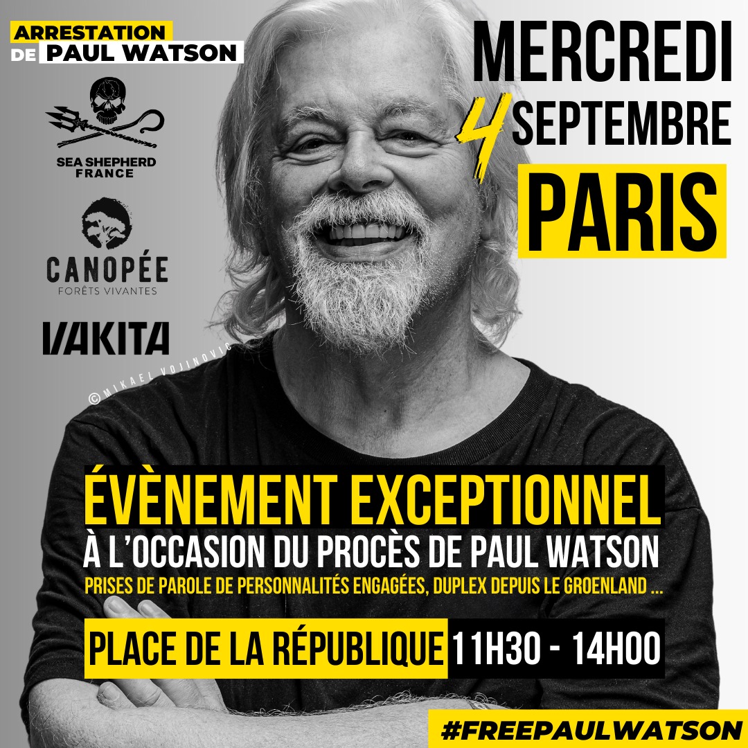 Le 4 septembre 2024: rassemblement de soutien à Paul Watson à Paris

Le 4 septembre, Sea Shepherd France, <a href="/Canopee_asso/">Canopée Forêts Vivantes</a>  et <a href="/vakitamedia/">Vakita</a>  organisent un rassemblement de soutien à Paul Watson de 11h30 à 14h, place de la République à Paris. 

Ce rassemblement se tiendra en