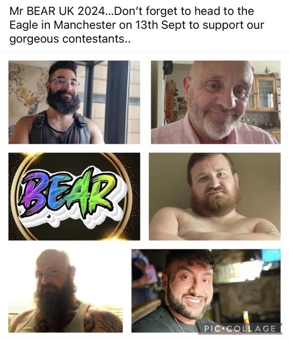 BEAR Group (@beargroup16) on Twitter photo 