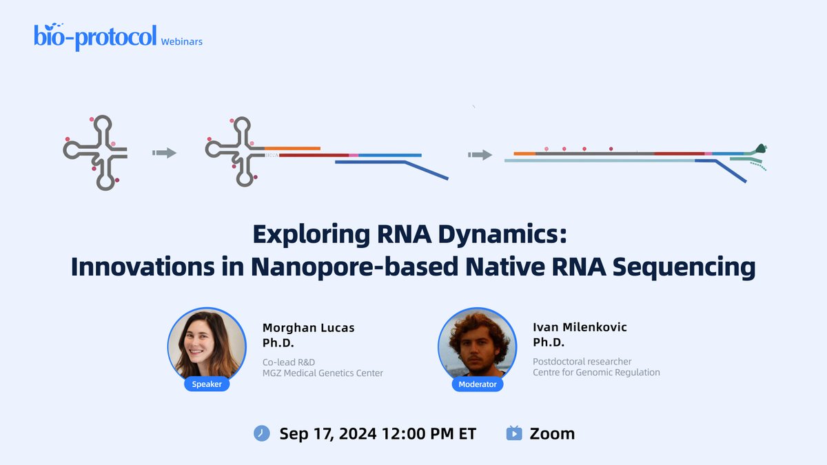📢 Bio-protocol Webinars present: Exploring RNA Dynamics: Innovations in Nanopore-based Native RNA Sequencing

Join us on:
Date and time: September 17, 2024; 12:00 PM ET
Speaker: Dr. Morghan Lucas 
Moderator: Dr. Ivan Milenkovic  
🔗 Register here: s.bio-protocol.org/cd77901d93d92c…