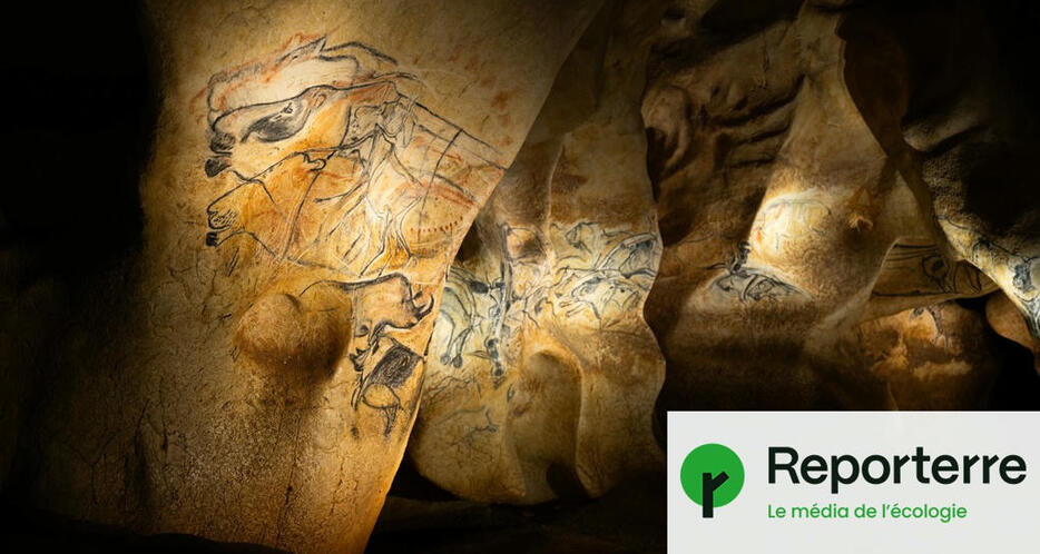 museumtoulouse's tweet photo. [PRÉHISTOIRE/CLIMAT] Chauvet, Cosquer... Les grottes préhistoriques se préparent au changement climatique https://t.co/rrzJks08Xb #Préhistoire #climat #grottes #Chauvet #Cosquer #changement_climatique #Températures #feux #montée_des_eaux #peintures #rupestres https://t.co/pteIQsB0gI