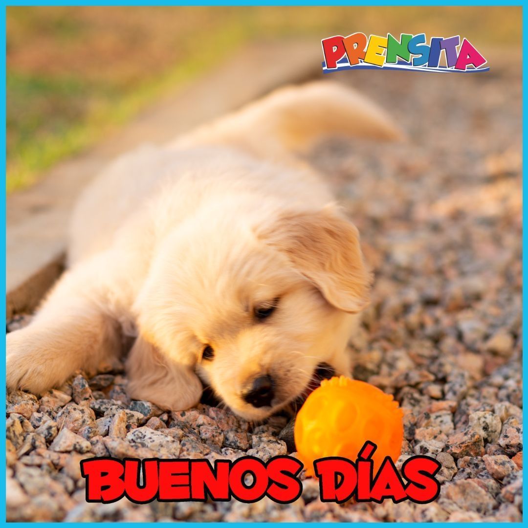 Buenos días ☀️, image size:1080x1080