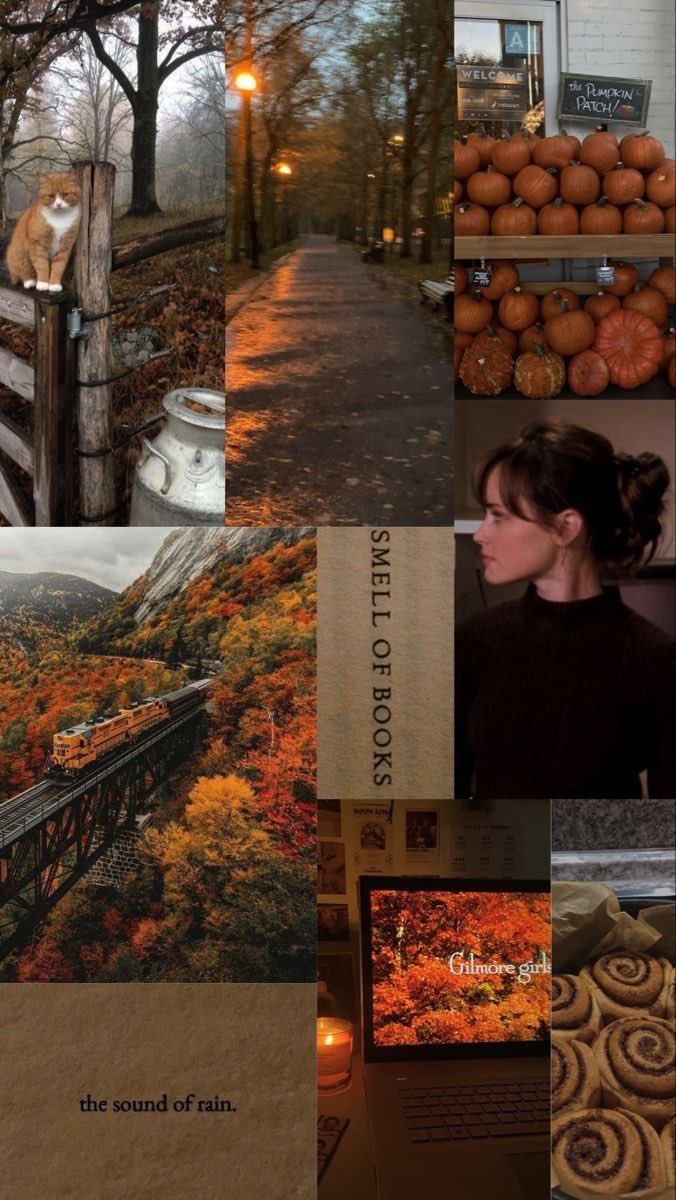 pamvonhadder's tweet photo. I can smell these pictures https://t.co/D7uuMO7BJm