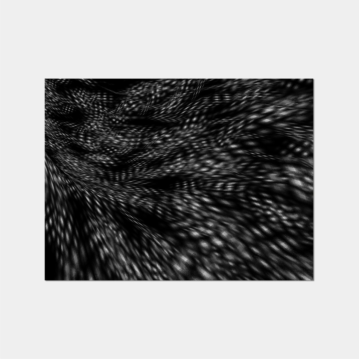 newvisualthings's tweet image. newvisualthings.com/products/feath…