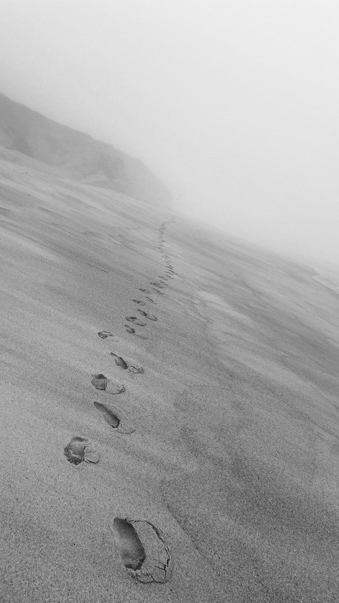 teddywakasumba's tweet image. Footprints in mist-shrouded sands... 

Each step echoes through time.
What unknown horizons await? 
As we decode the past to navigate tomorrow&apos;s uncharted realms.
The future whispers. Are we listening?

Back to unravel lucid dreams and digital mysteries.

#CognitiveTransformation