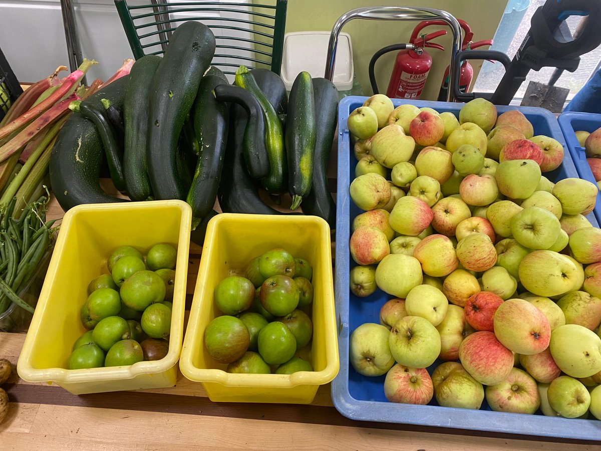 StPetersComm's tweet image. 😊What a great morning we had harvesting after a week away . Loving the 5 potatoes 🥔 we missed 2 weeks ago!