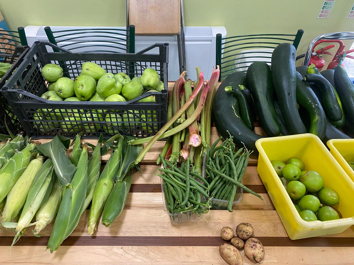 StPetersComm's tweet image. 😊What a great morning we had harvesting after a week away . Loving the 5 potatoes 🥔 we missed 2 weeks ago!