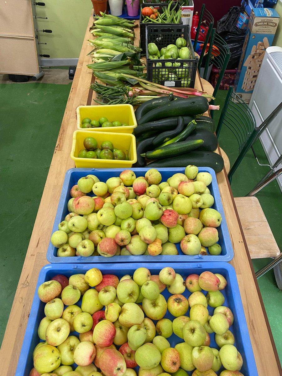 StPetersComm's tweet image. 😊What a great morning we had harvesting after a week away . Loving the 5 potatoes 🥔 we missed 2 weeks ago!