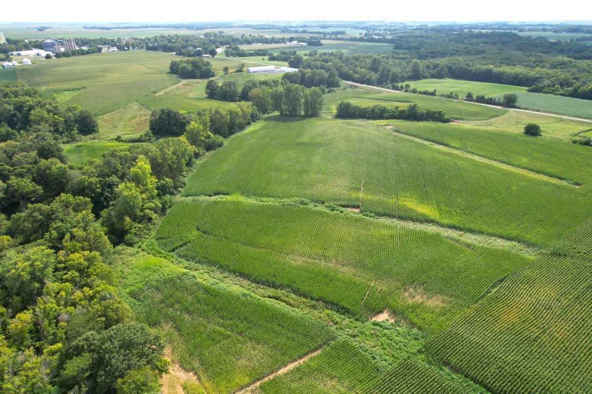 NEW! 50.57 Acre Tillable &amp; Hunting Combo Farm · Christian County, IL. A nice-sized and affordably-priced tract of land near Palmer. Details at worrell-landservices.com/hunting-tillab…