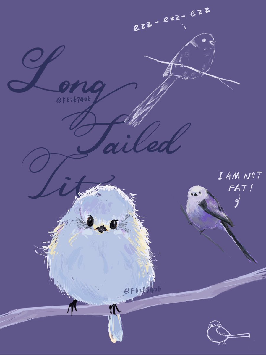 f6267426's tweet photo. soooooo cute
#longtailedtit #bird #illustraion #Procreate https://t.co/4hLbZB9u2v
