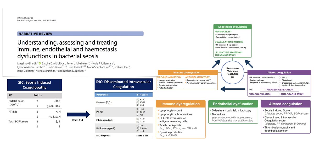 Immune, endothelial, hemostasis dysfunctions in #sepsis
🧫pathophysiological mechanisms
🩺endothelial/hemostatic disturbances induced by immune dysfunction
🛌assessment
🎯therapeutic targets &amp; evidence for interventions targeting dysregulated response
🔓 rdcu.be/dSOsx