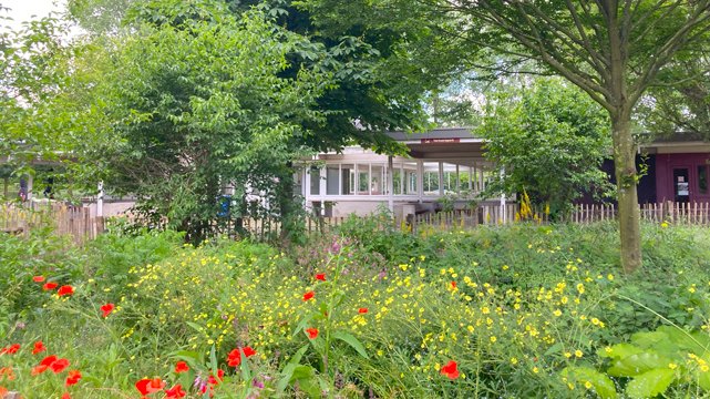 🌻🐞🌳Op woensdag 25 september 2024 vindt om 13u het Vormingsmoment groenvoorziening: biodivers groen plaats in het Provinciaal Domein Puyenbroeck te Puyenbrug 1A, 9185 Wachtebeke. Deelname is gratis, schrijf jij je ook in op viaverda.be/Agenda/ArtMID/…? 🌻🐞🌳
