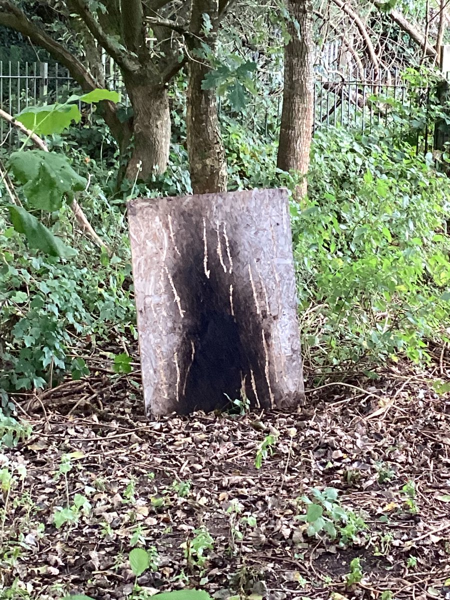 BVPS Year 4 Class Page tweet media