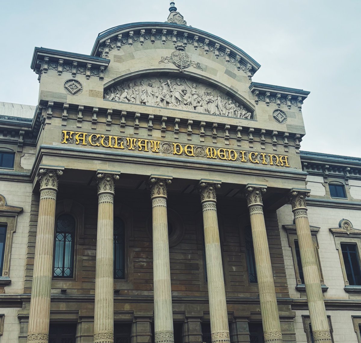 Elia Seguí, MD tweet media