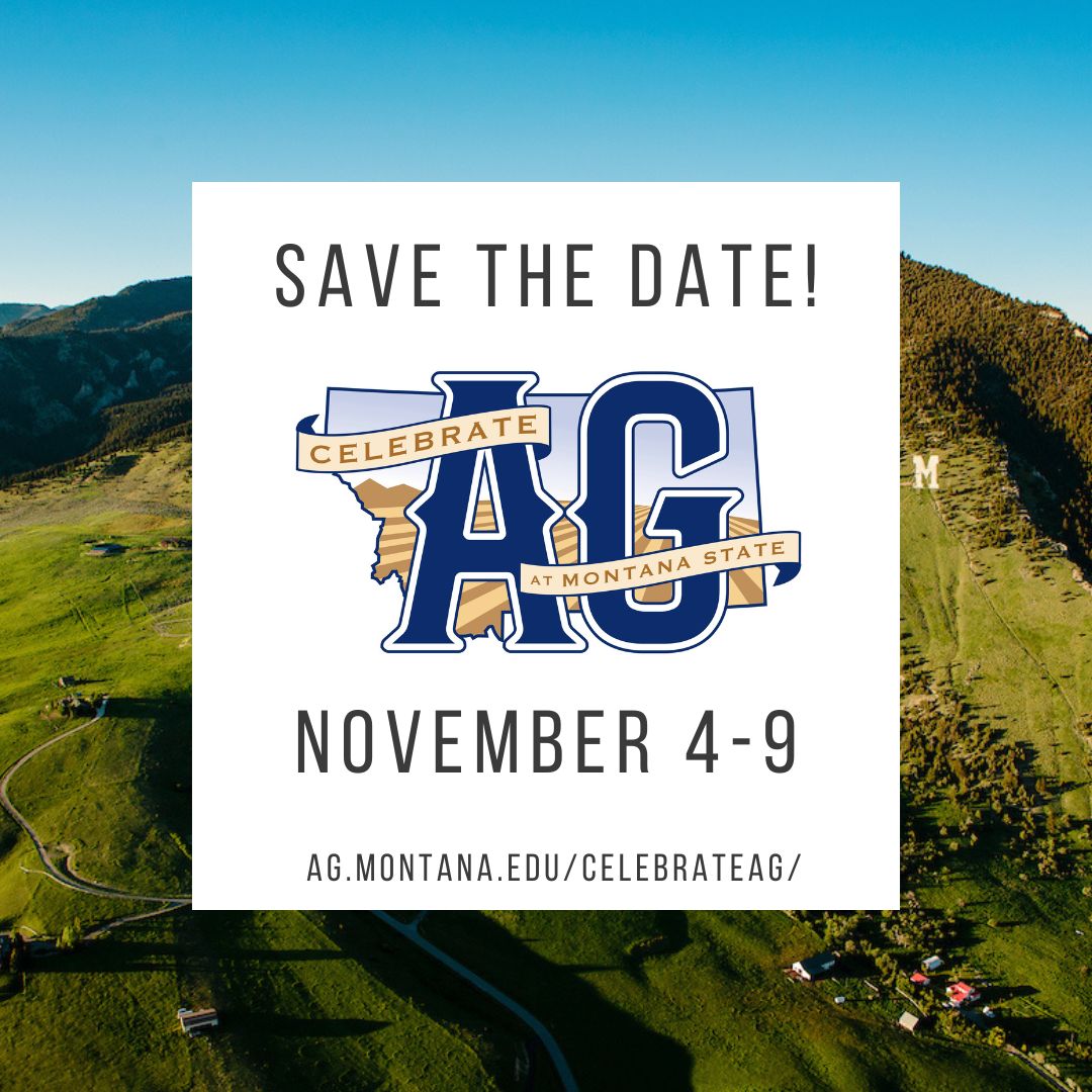 MSUCollegeofAg's tweet image. Celebrate Ag 2024 is growing!

For the first time ever, Celebrate Ag will be a FULL WEEK of events for our alumni, donors, students and community. 

We can&apos;t wait to see you there! The full schedule of events and more information can be found at ag.montana.edu/celebrateag/