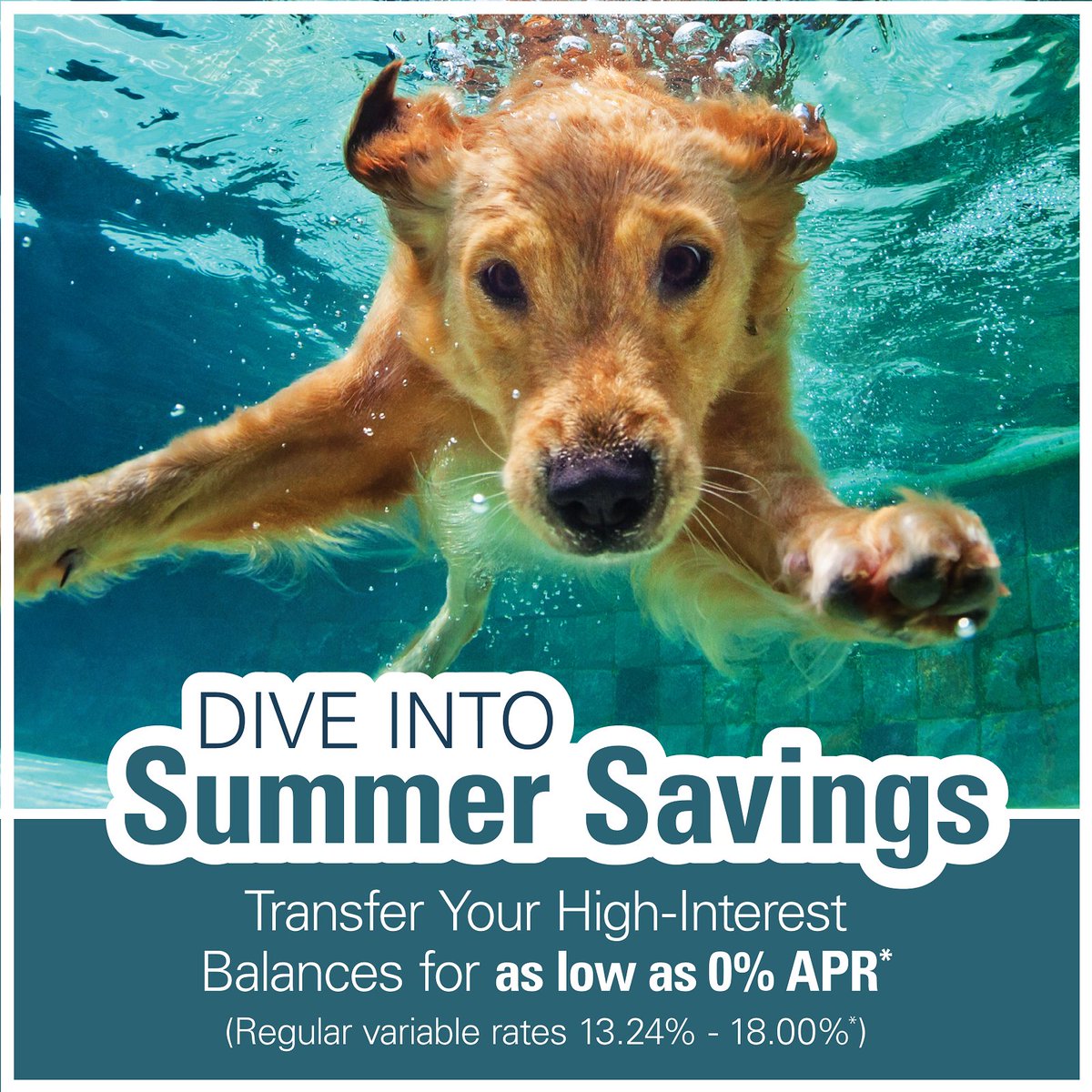 AppleFederalCU's tweet image. Hurry, time is running out on our Balance Transfer Offer!! Transfer your existing balances to an Apple FCU Visa Credit Card. Enjoy rates as low as 0% APR* for 12 months. 😎

Info: AppleFCU.org/BTO

#BalanceTransfer #CreditUnionDifference #CreditUnion #Savings #Budget