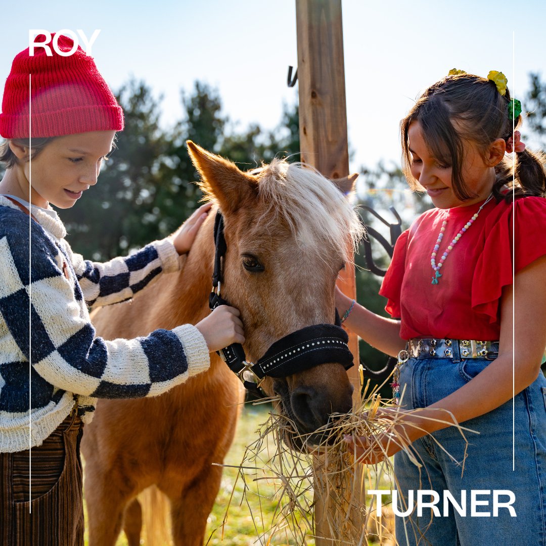 Roy & Turner (@royetturner) on Twitter photo La série jeunesse Cirkus vient de débarquer sur <a href="/icitoutv/">ICI Tou.tv</a>!
Plongez cet univers mettant en vedette Aria, une petite fille débordante d’énergie qui se lie d'amitié avec une troupe de cirque. 🎪 Quel plaisir de retrouver SLALOM pour faire rayonner ce projet! La série jeunesse Cirkus vient de débarquer sur <a href="/icitoutv/">ICI Tou.tv</a>!
Plongez cet univers mettant en vedette Aria, une petite fille débordante d’énergie qui se lie d'amitié avec une troupe de cirque. 🎪 Quel plaisir de retrouver SLALOM pour faire rayonner ce projet!