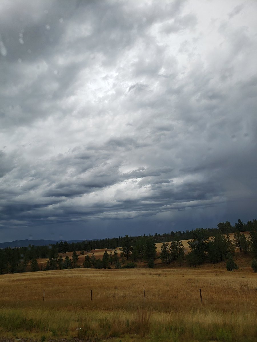 ⛈🌱