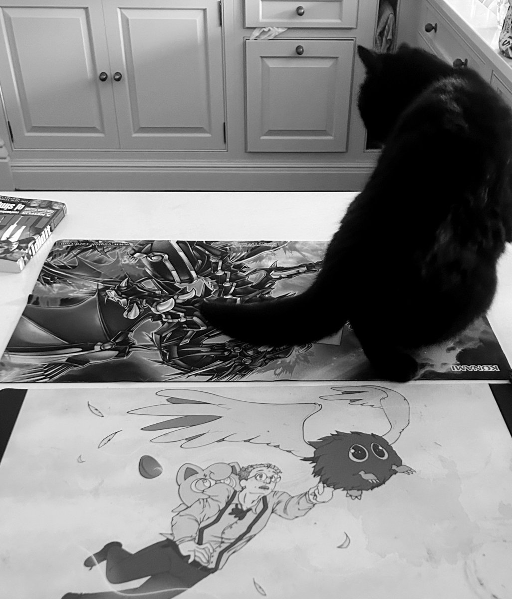 🕳️I crave the cruelty of your bat 🏏
#Blairfest <a href="/yorkmelee/">York Melee</a> 
🗡️He did indeed hit him with the sword 🗡️