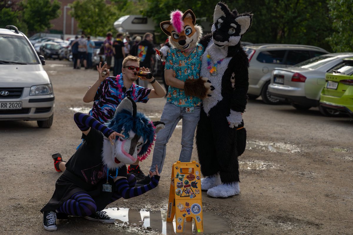 some picture from #BFD14