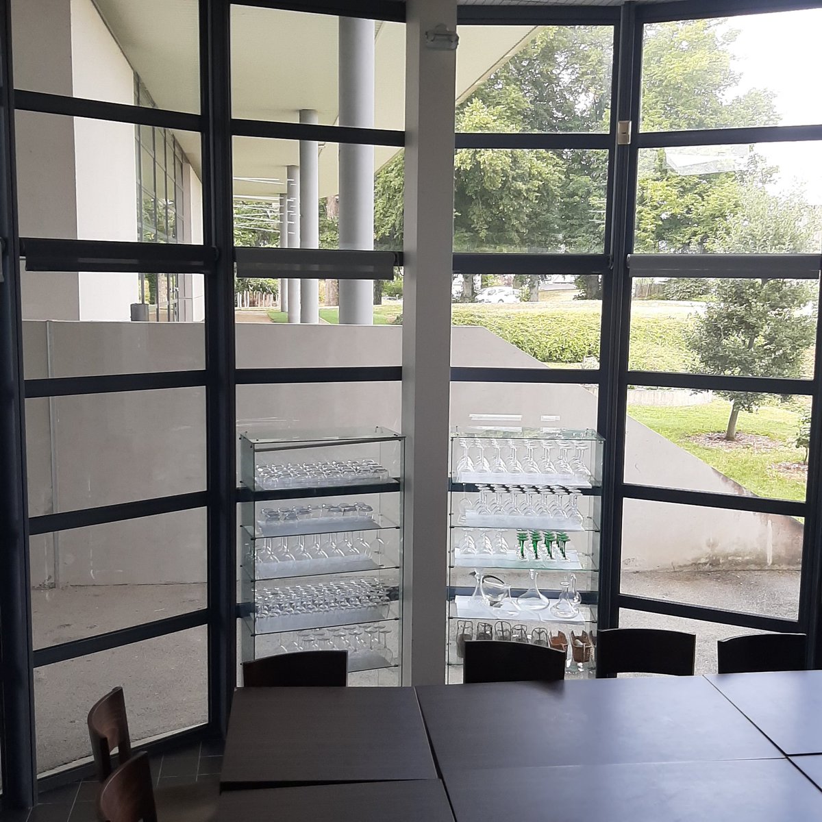 PascalBudor's tweet image. 🐢 a aussi fait sa rentrée après un été reposant ! 😋🎒👩🎓👨🎓#dinard #pascalbudor #formation