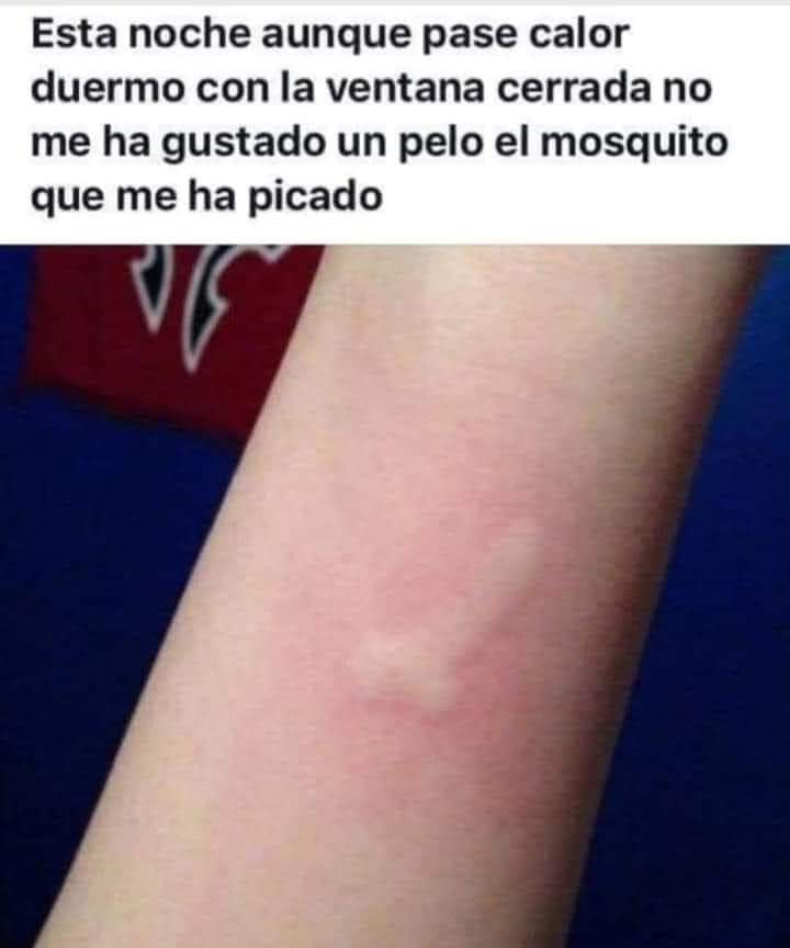 mispicaderos's tweet photo. Cuidadín, que igual te pica el mosquito pollón.
#mosquito #pollon #picadura #nipicanidura https://t.co/RHQ0DVBrMD