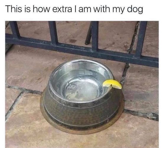 MsSophySticated's tweet image. ♡ #1 COZY STREAM ON TWITCH! [EN/FR] ♡ - twitch.tv/mssophysticated #twitch #stream #gamer #girlgamer #cs2 #callofduty #warzone #battleroyale #puzzle #tarkov #fortnite #overwatch2 #fallguys #battleroyale #minecraft #competitive #party #PartyAnimals #cozy #hype #party #supermarket