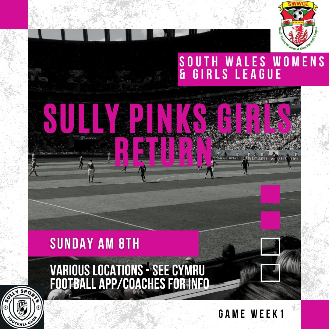 sullysportsfc's tweet photo. Whilst the seniors' games are already underway, this Saturday sees the start of the season for our minis, juniors, pinks & youth teams. Good luck to all 415 players & thank you sponsors for all your support. #SullyFC @Teamgrassroots_ https://t.co/BgVIskSbMe