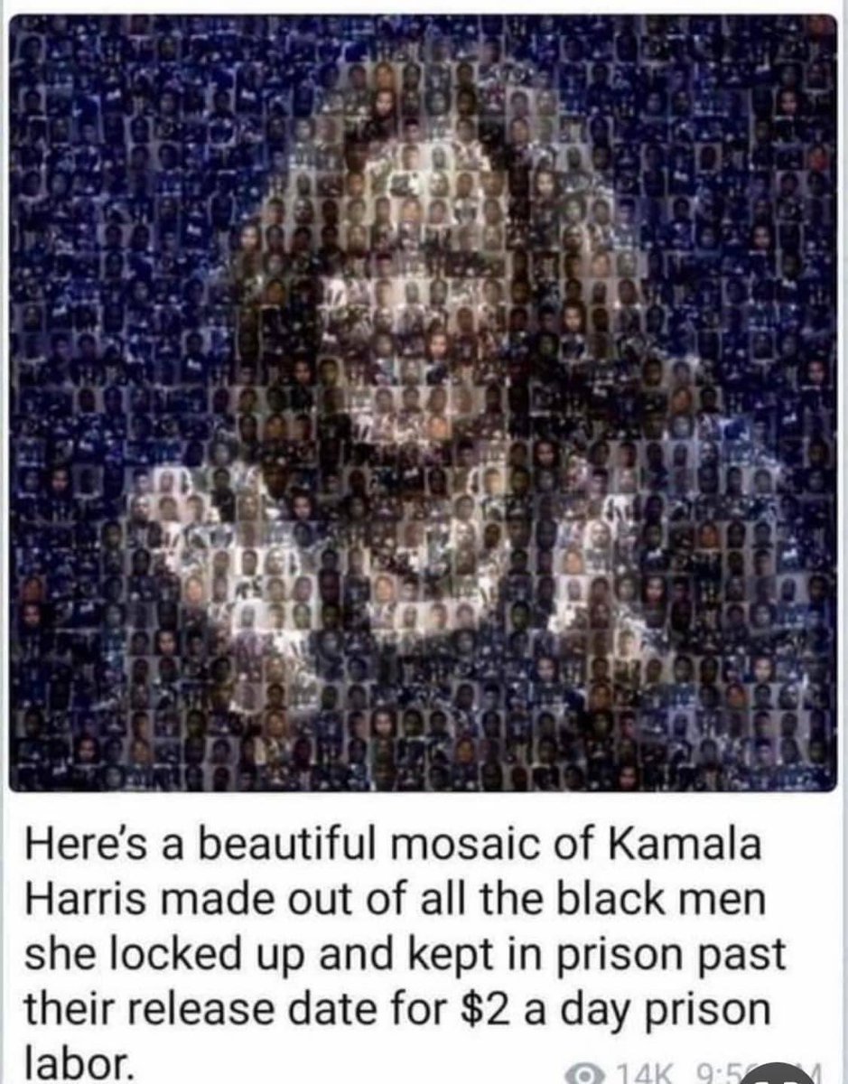 chieffishell's tweet image. The people