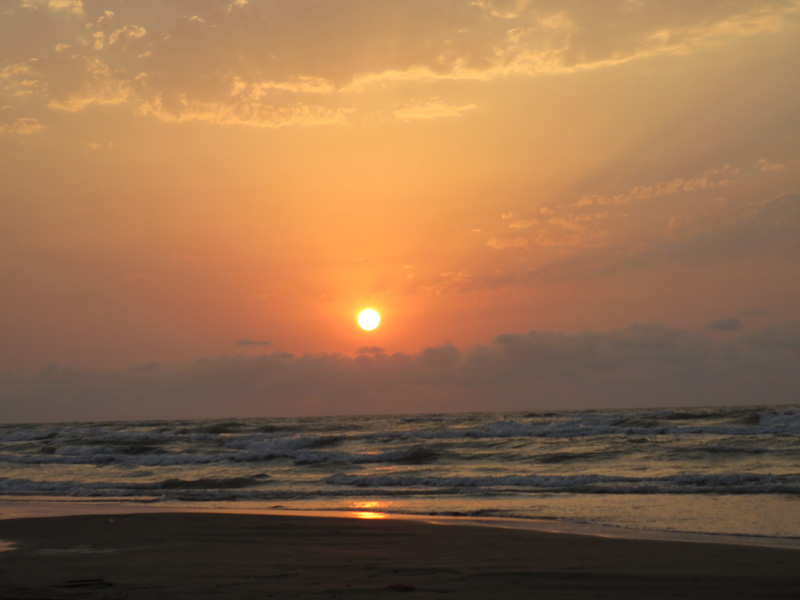 PiotcoTeam tweet media