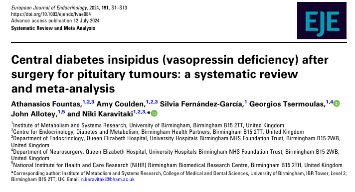 Niki Karavitaki tweet media