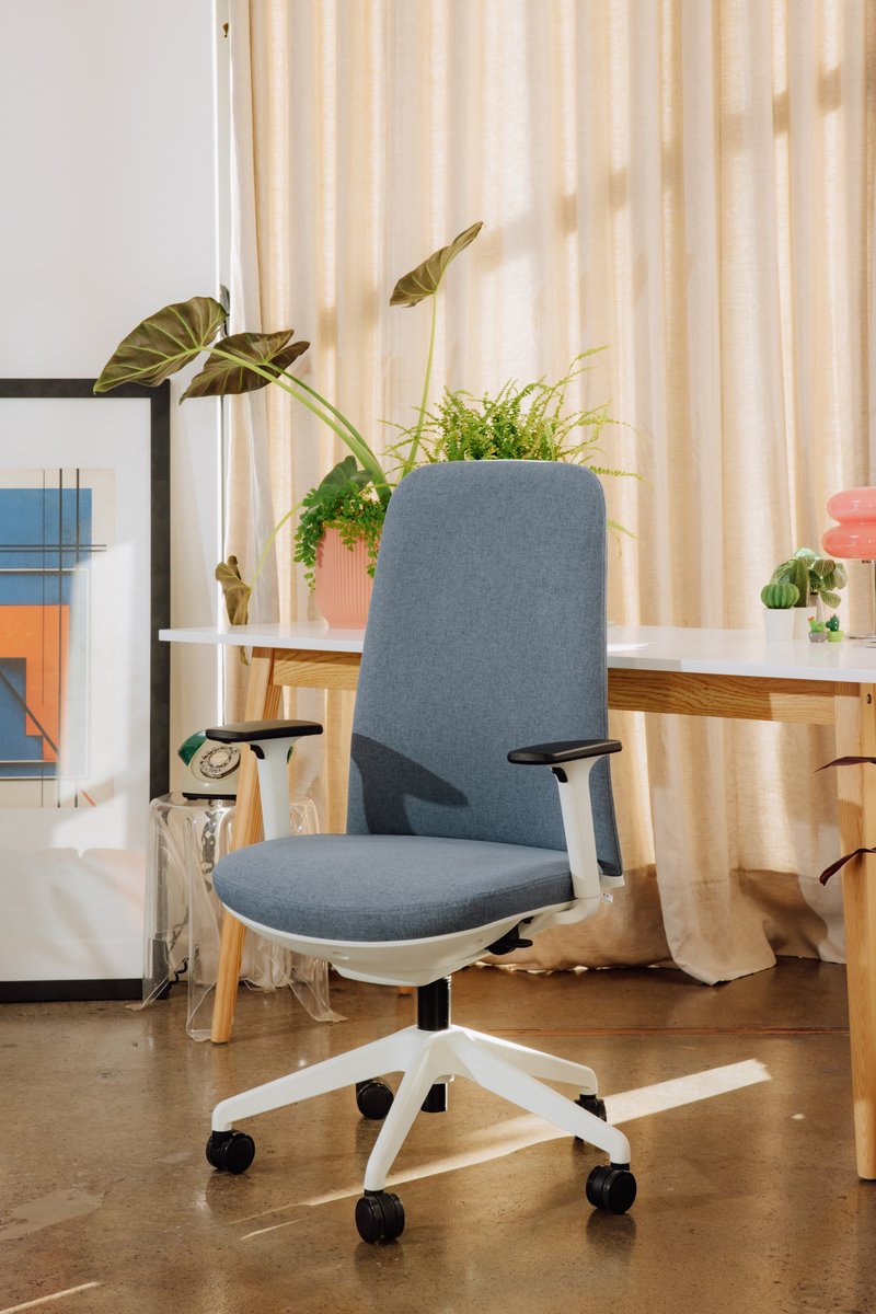 Back2 Ltd tweet media