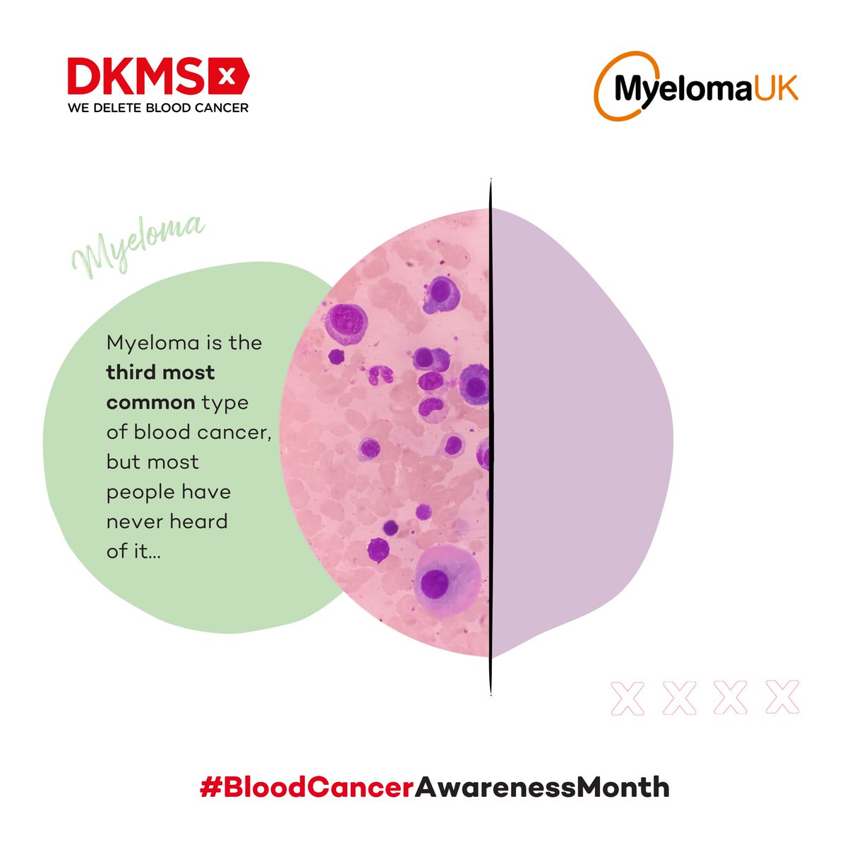 DKMS UK | We Delete Blood Cancer tweet media