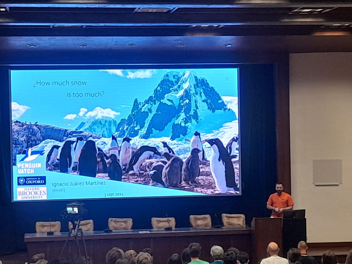 Just presented some of the research of my PhD and postdoc at #CoimbraSeabirds Conference. 

I spoke about how increased precipitation in Antarctica is causing breeding failure in three penguin species. 

#ClimateChange #penguin #Antarctica