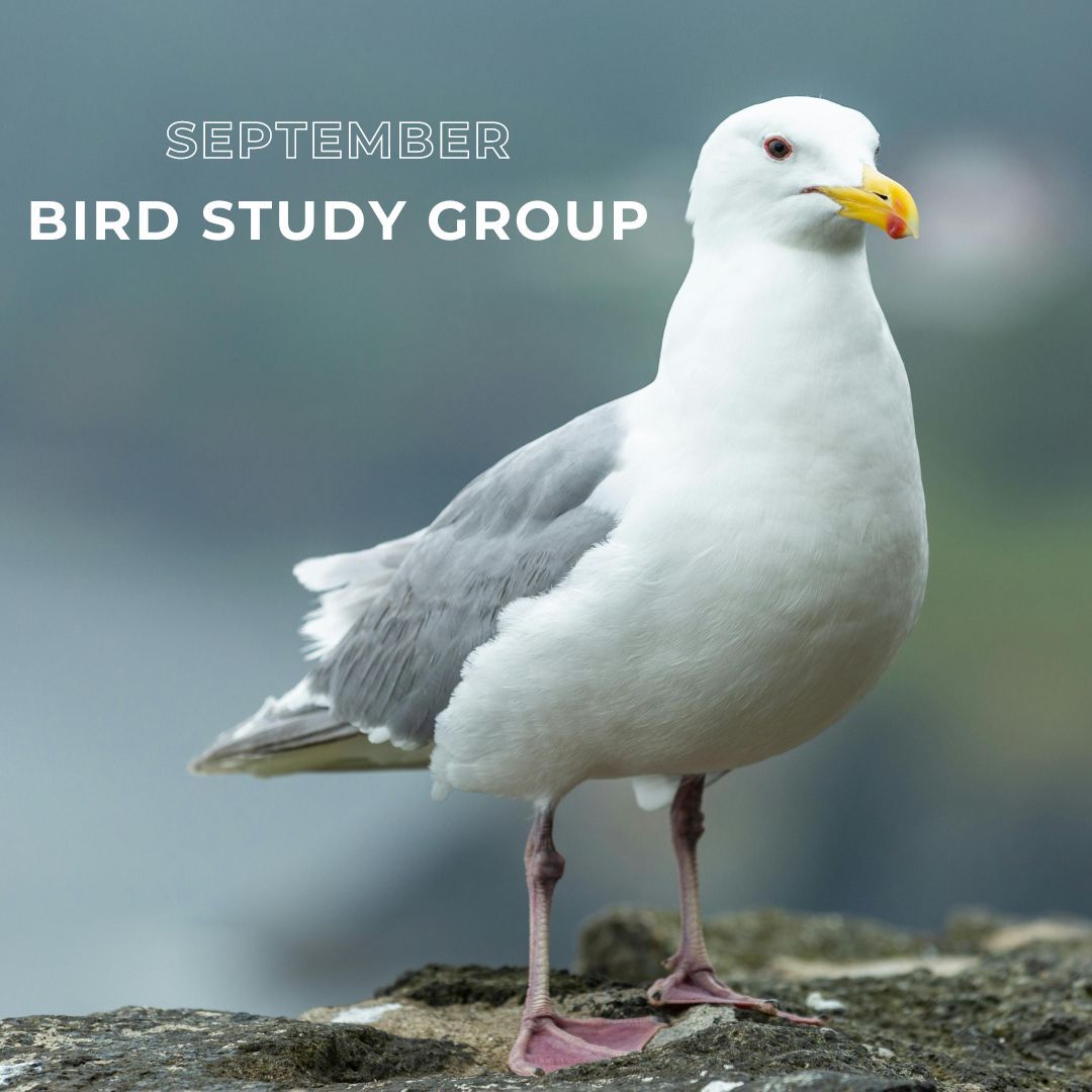 Bird Study Group is happening tomorrow night! Members check your email for your Zoom link and we'll see you there! buff.ly/4e5ZXfr