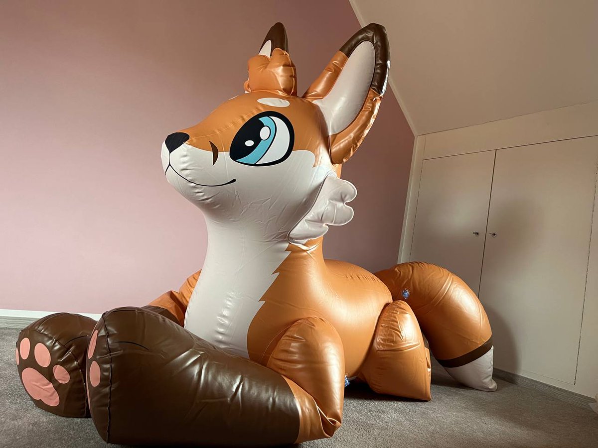 CollieToyInsp's tweet photo. Look who's available there now... 👀🦊 https://t.co/7coYxmPC3C